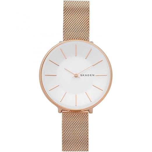 Skagen Watch