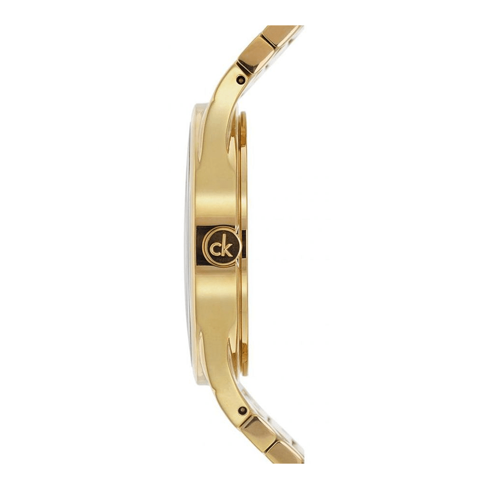Calvin Klein Watch