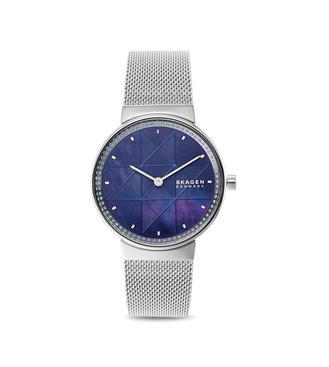 Skagen Watch