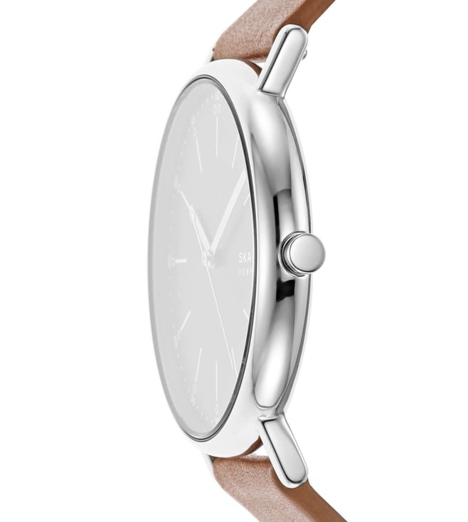 Skagen Watch