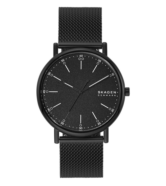 Skagen Watch