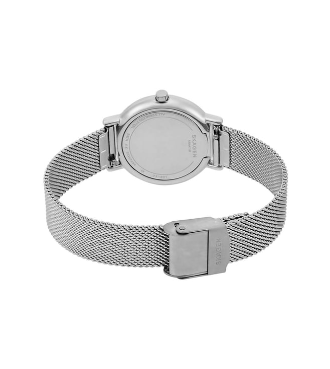 Skagen Watch