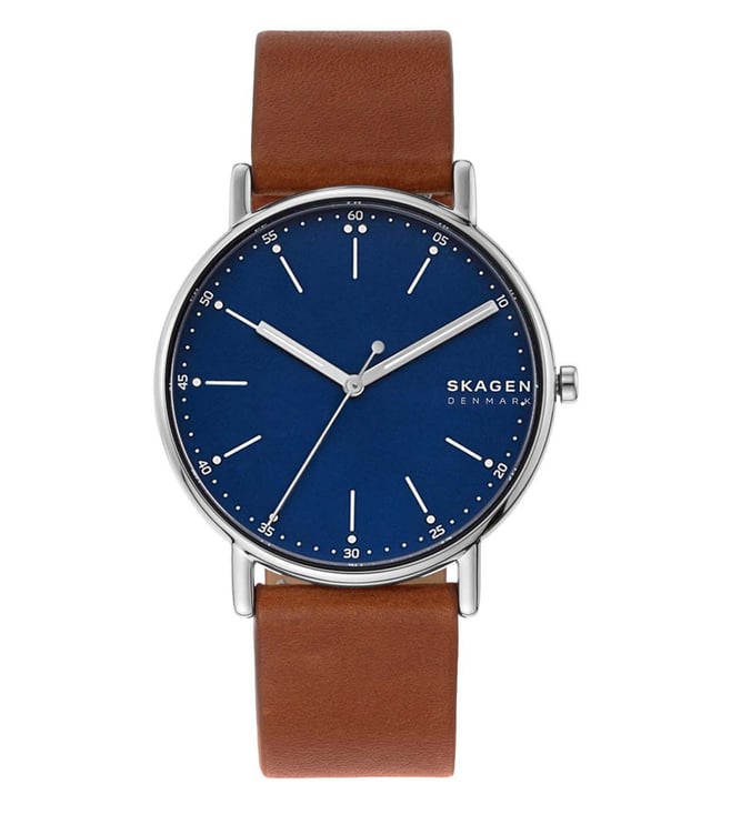 Skagen Watch