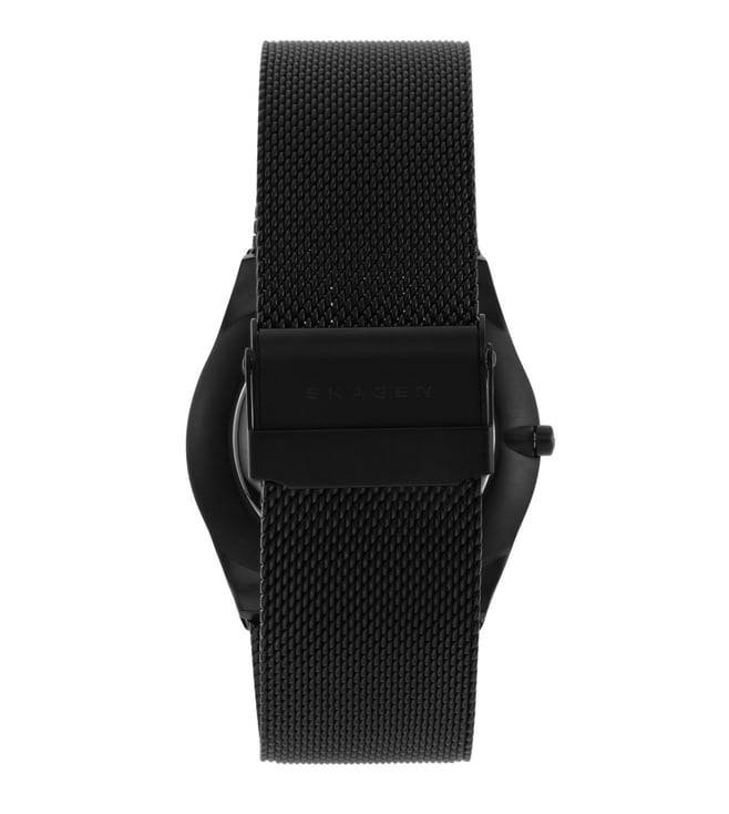 Skagen Watch