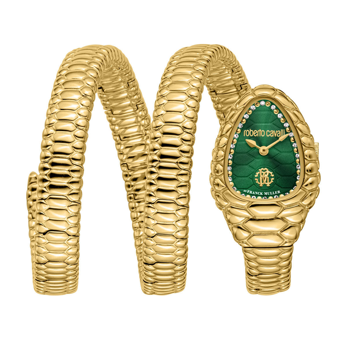 Roberto Cavalli Watch